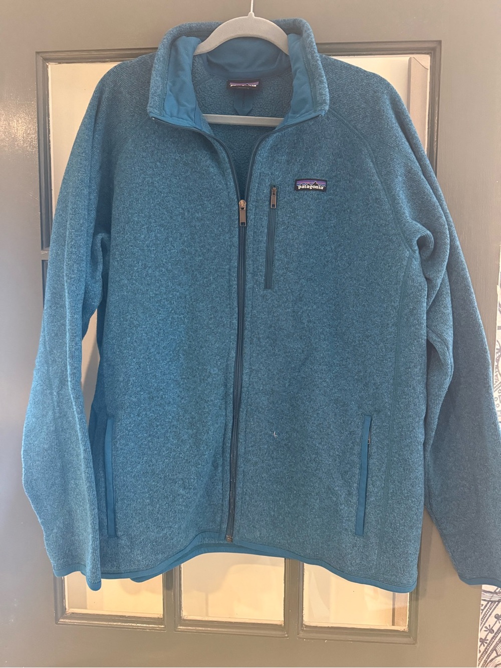 Patagonia men’s Blue Full-Zip Fleece Jacket
